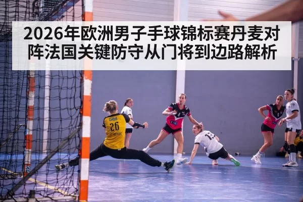 2026年欧洲男子手球锦标赛丹麦对阵法国关键防守从门将到边路解析